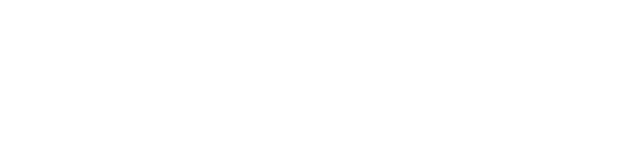 Zuffa Boxing