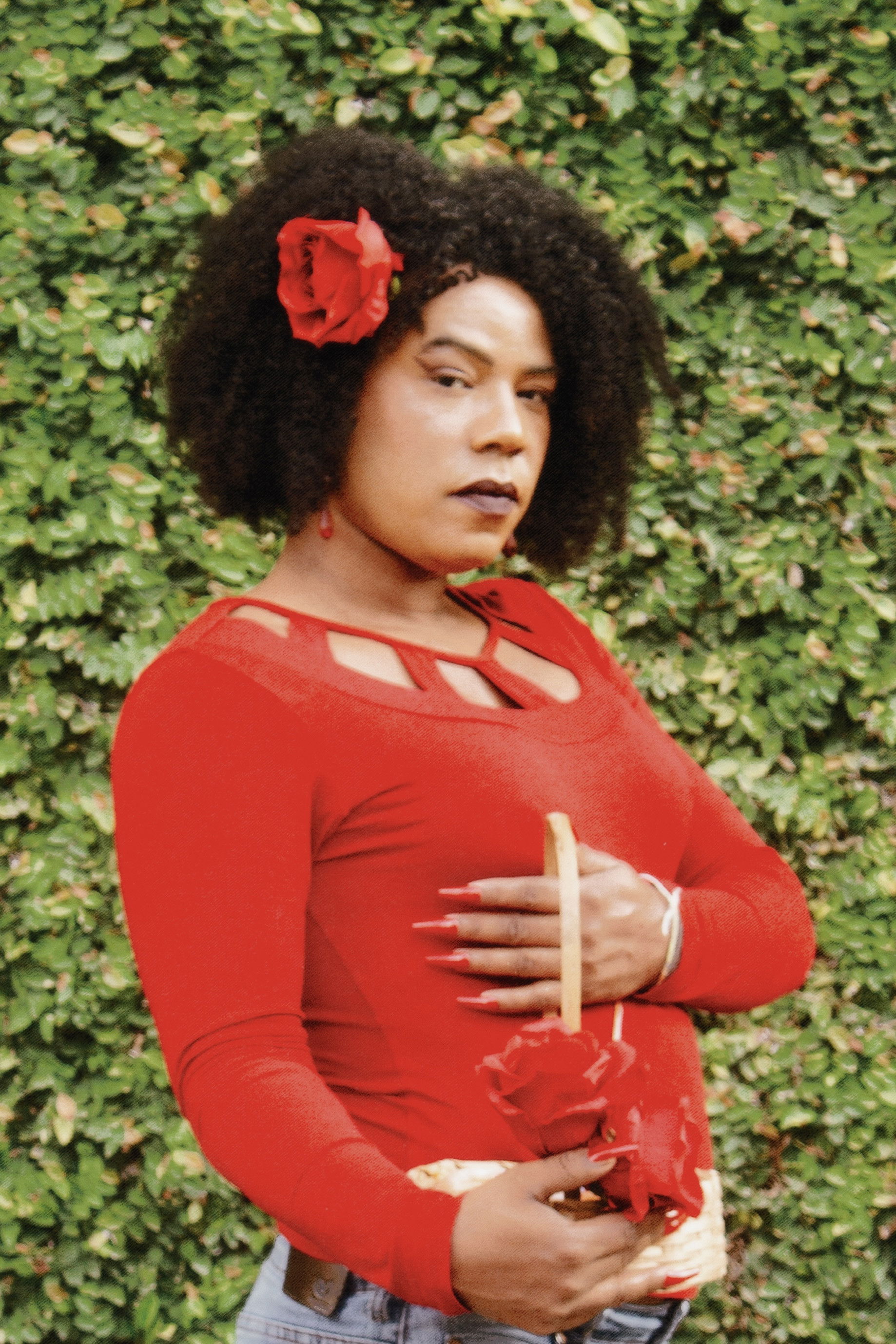 et billede af Penellopy