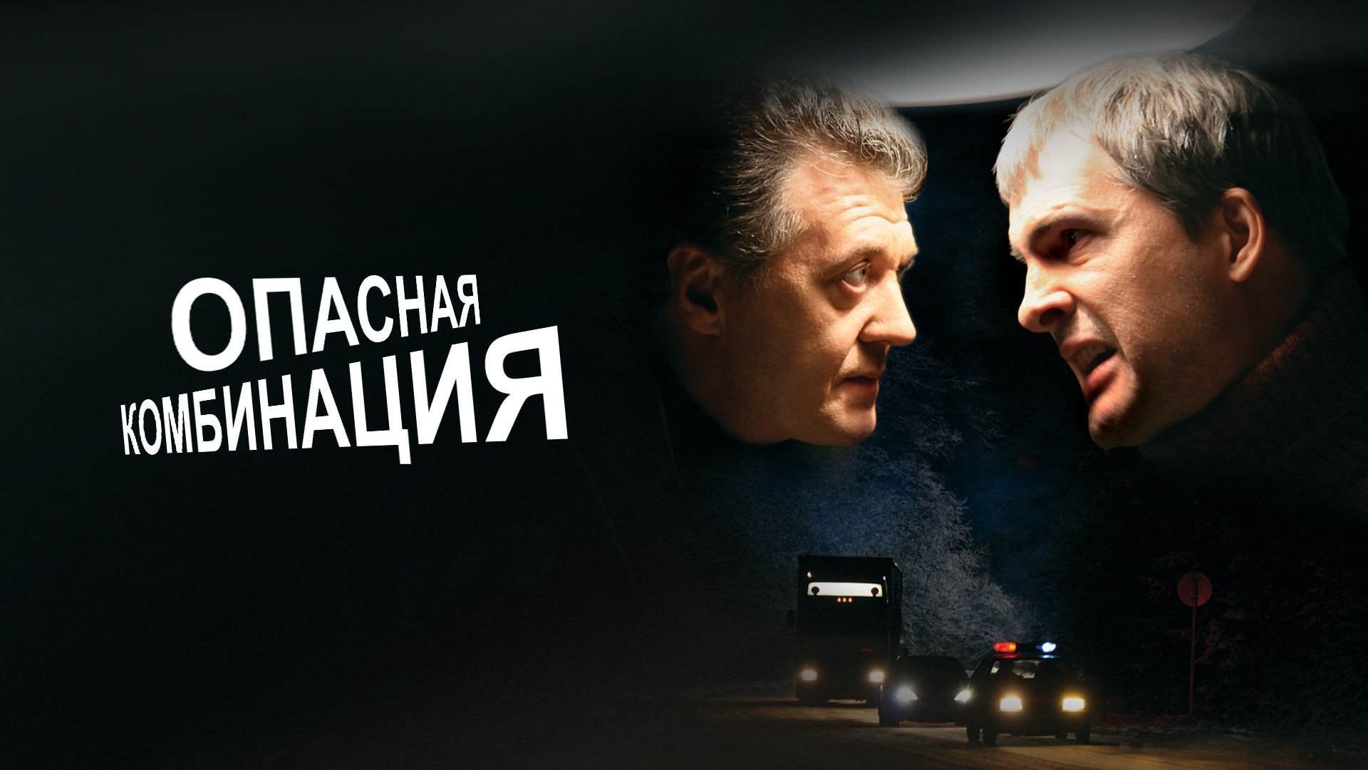 Dangerous Combination (2008)