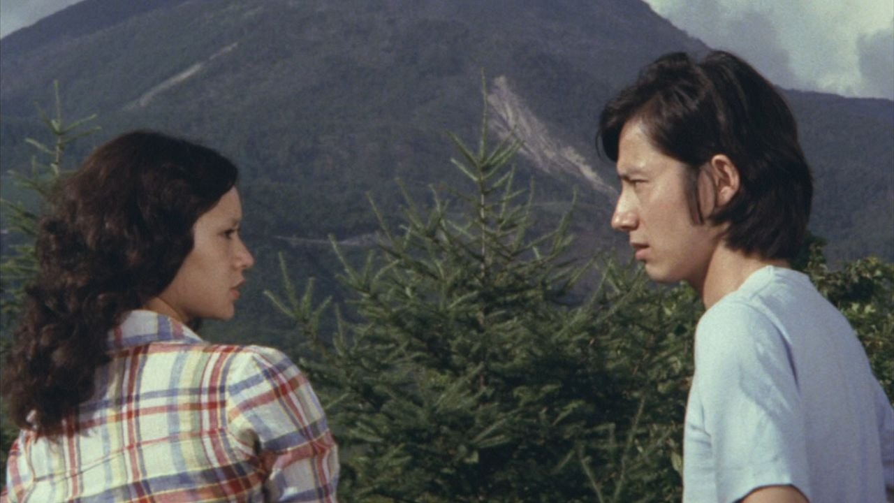 The Heart (1973)