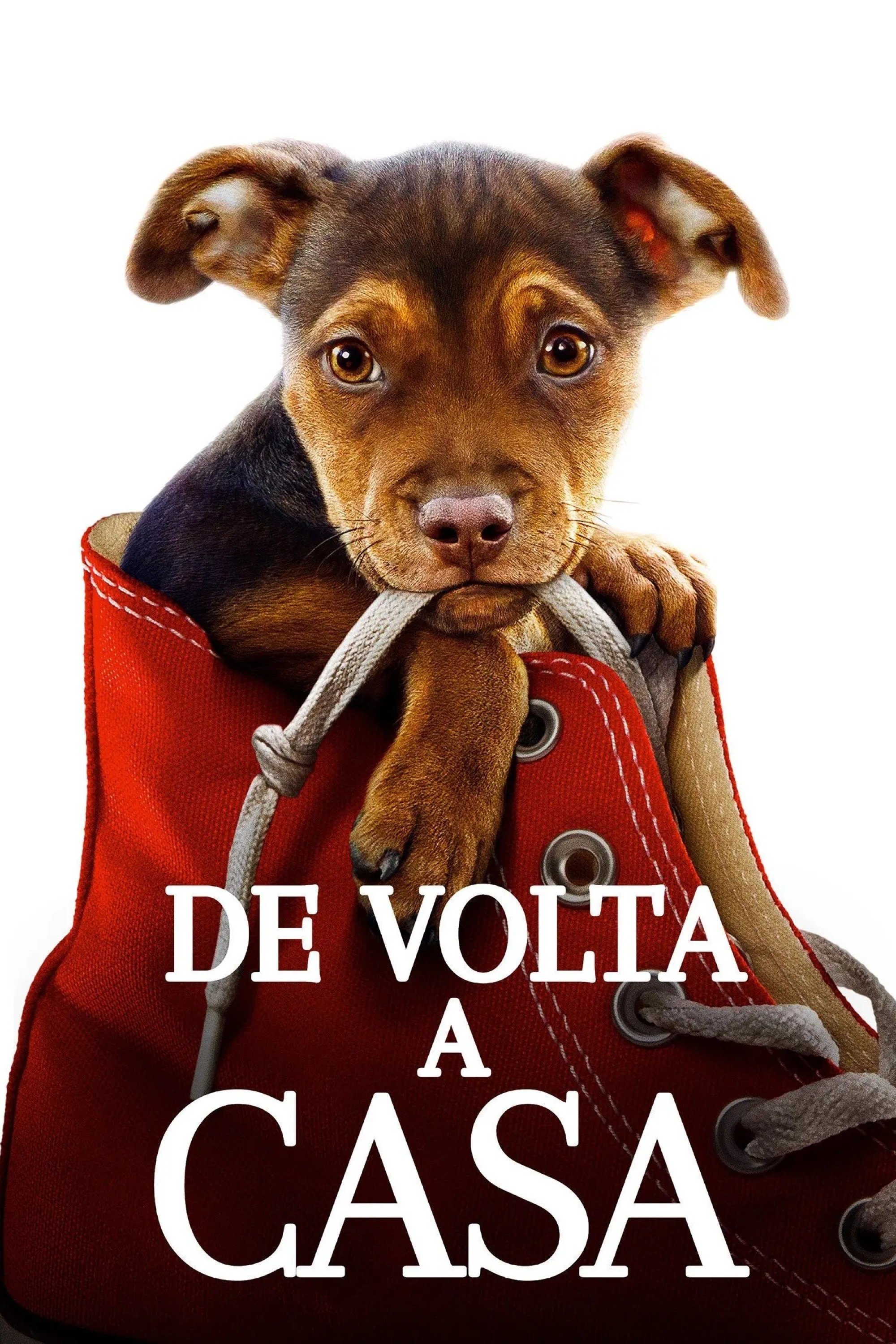 A Caminho de Casa A Caminho de Casa