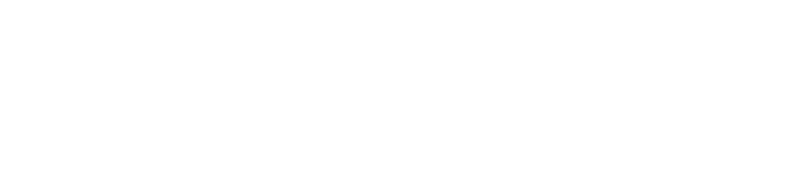 Rio Bravo Logo