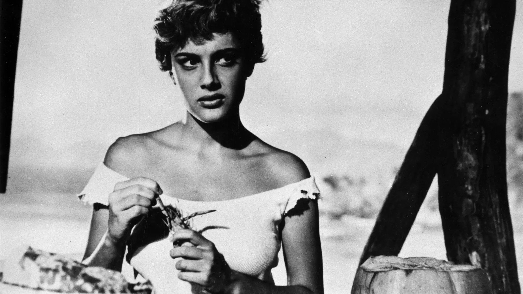 The Net (1953)