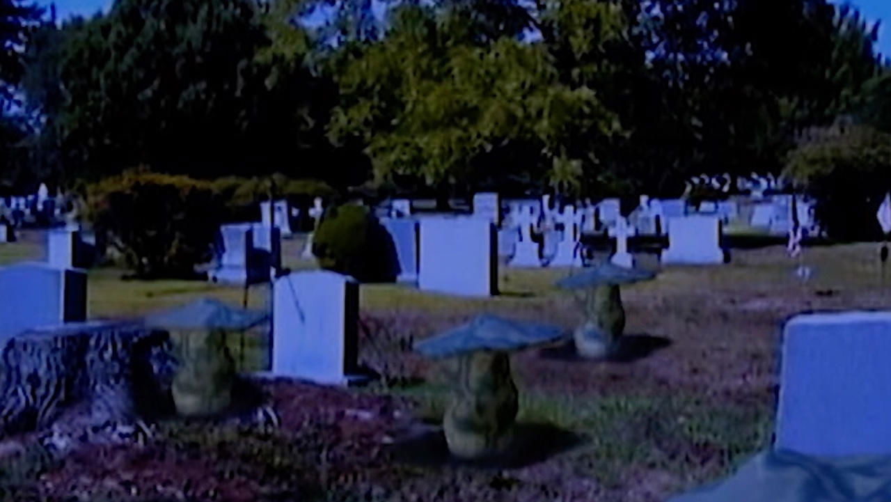 Fungicide (2002)