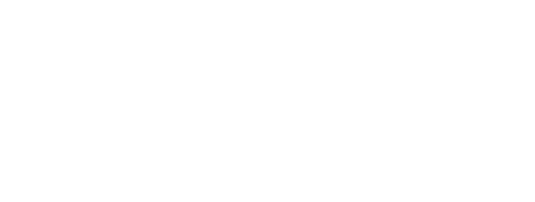 The Litchi Road Logo