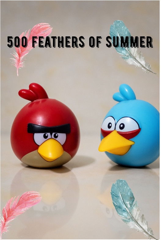 500 Feathers of Summer