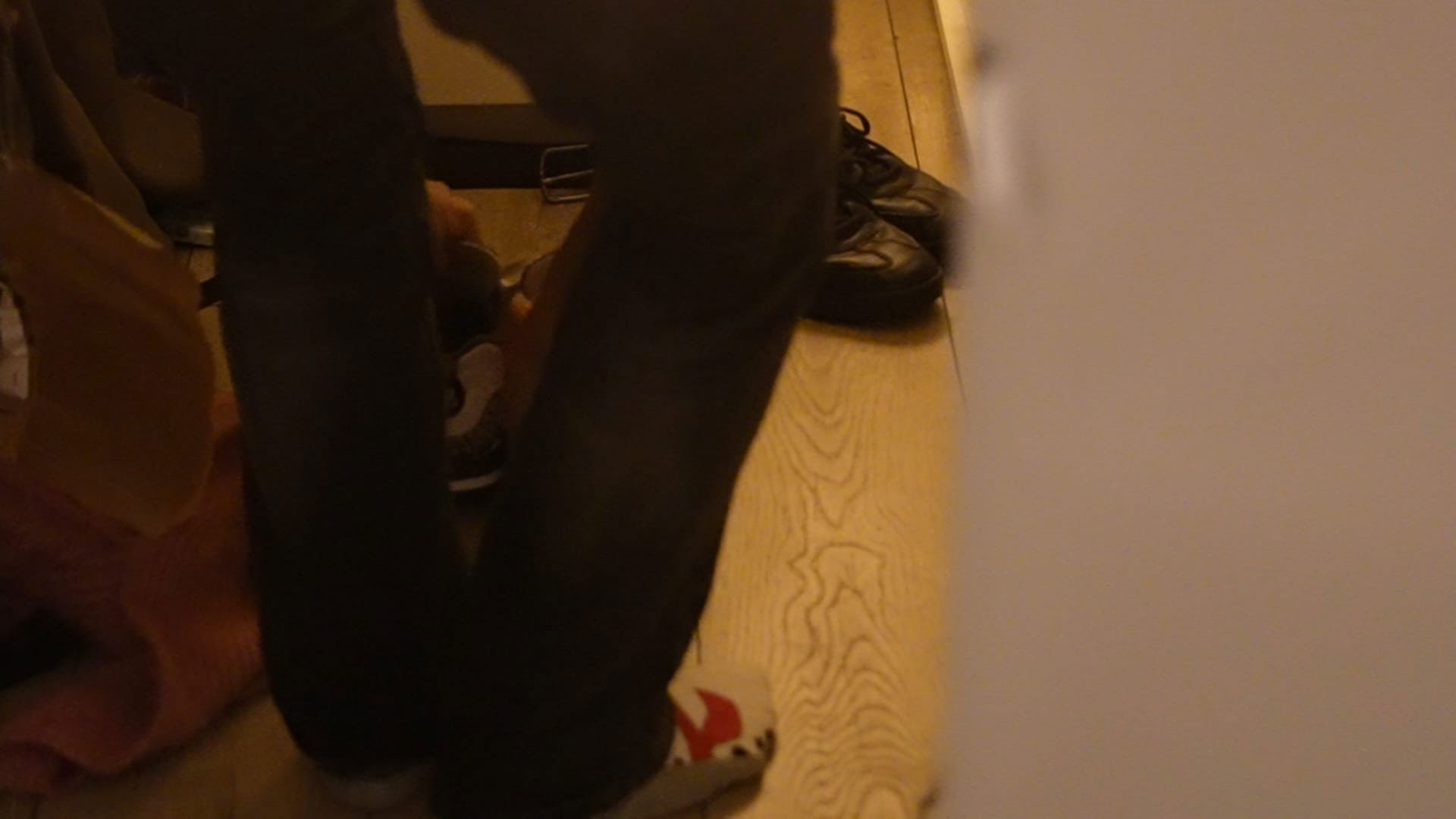 the forest of great mystery and emptiness