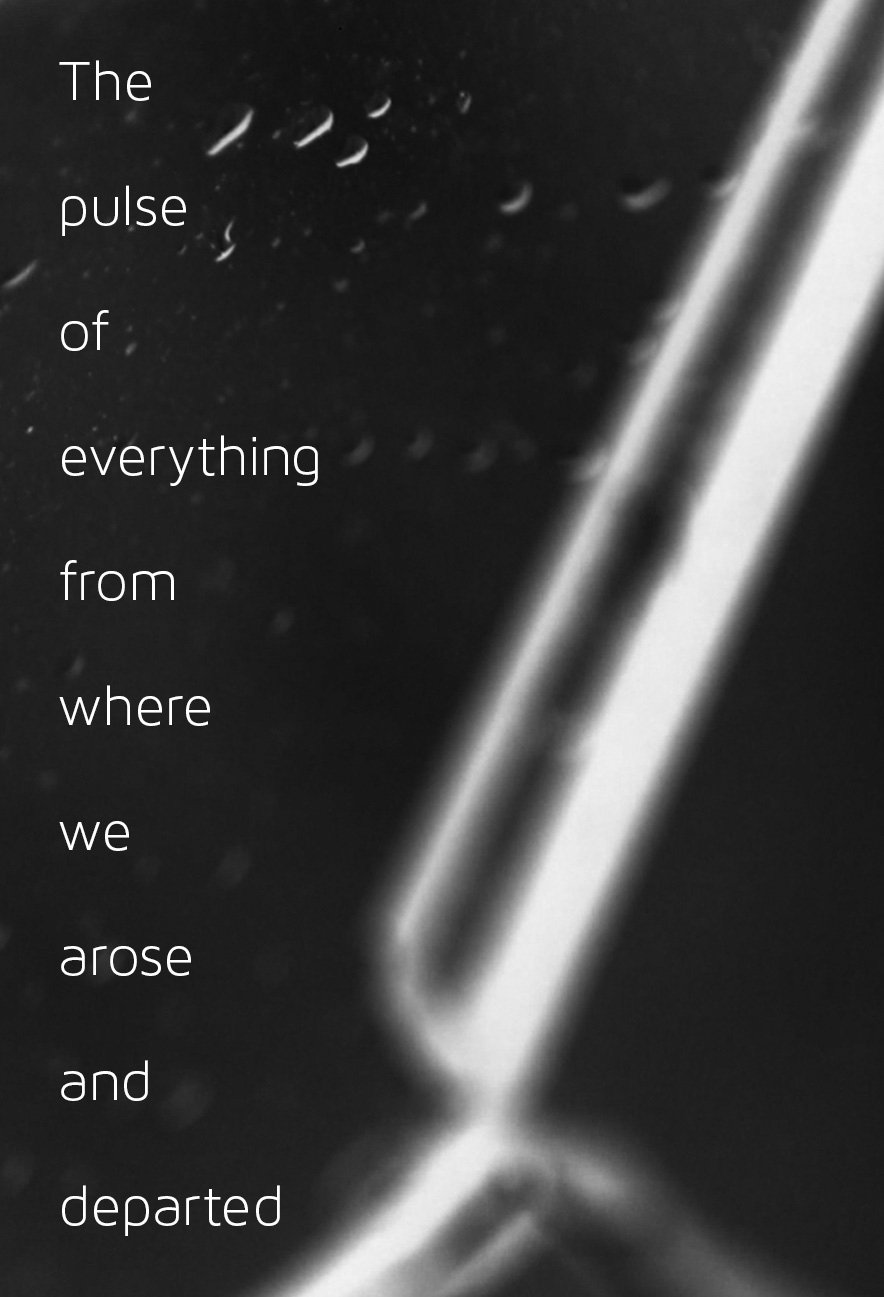 The pulse of everything from where we arose and departed