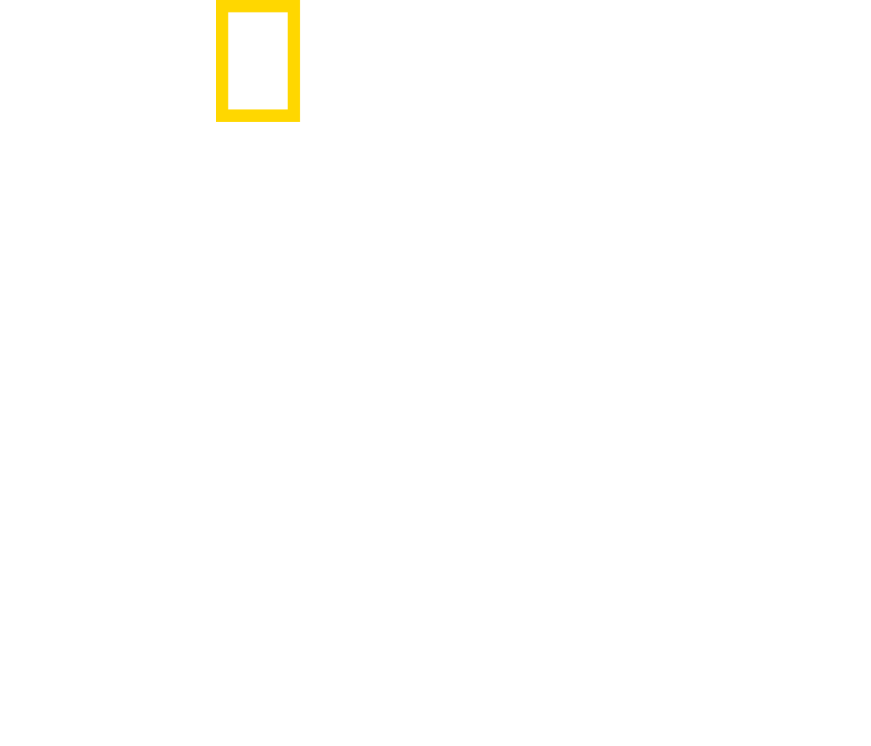 Dr. T, Lone Star Vet Logo
