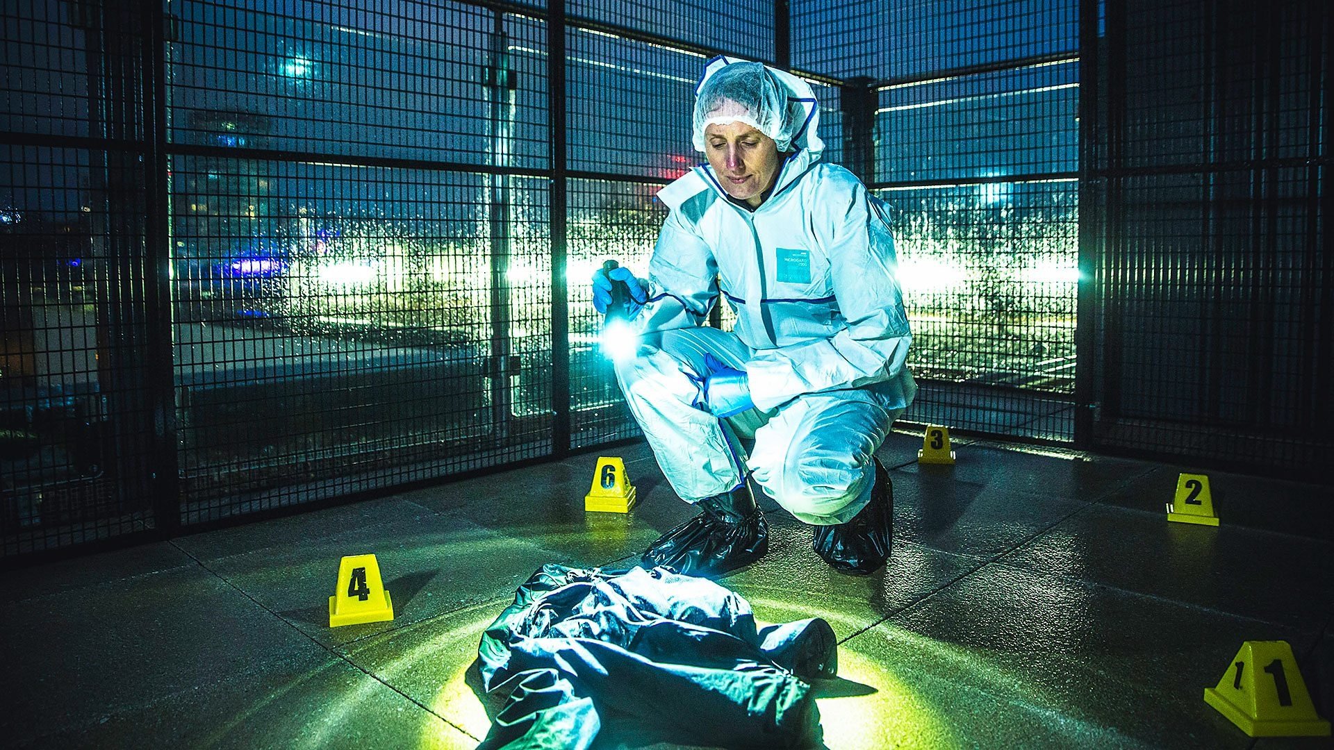 Forensics: The Real CSI