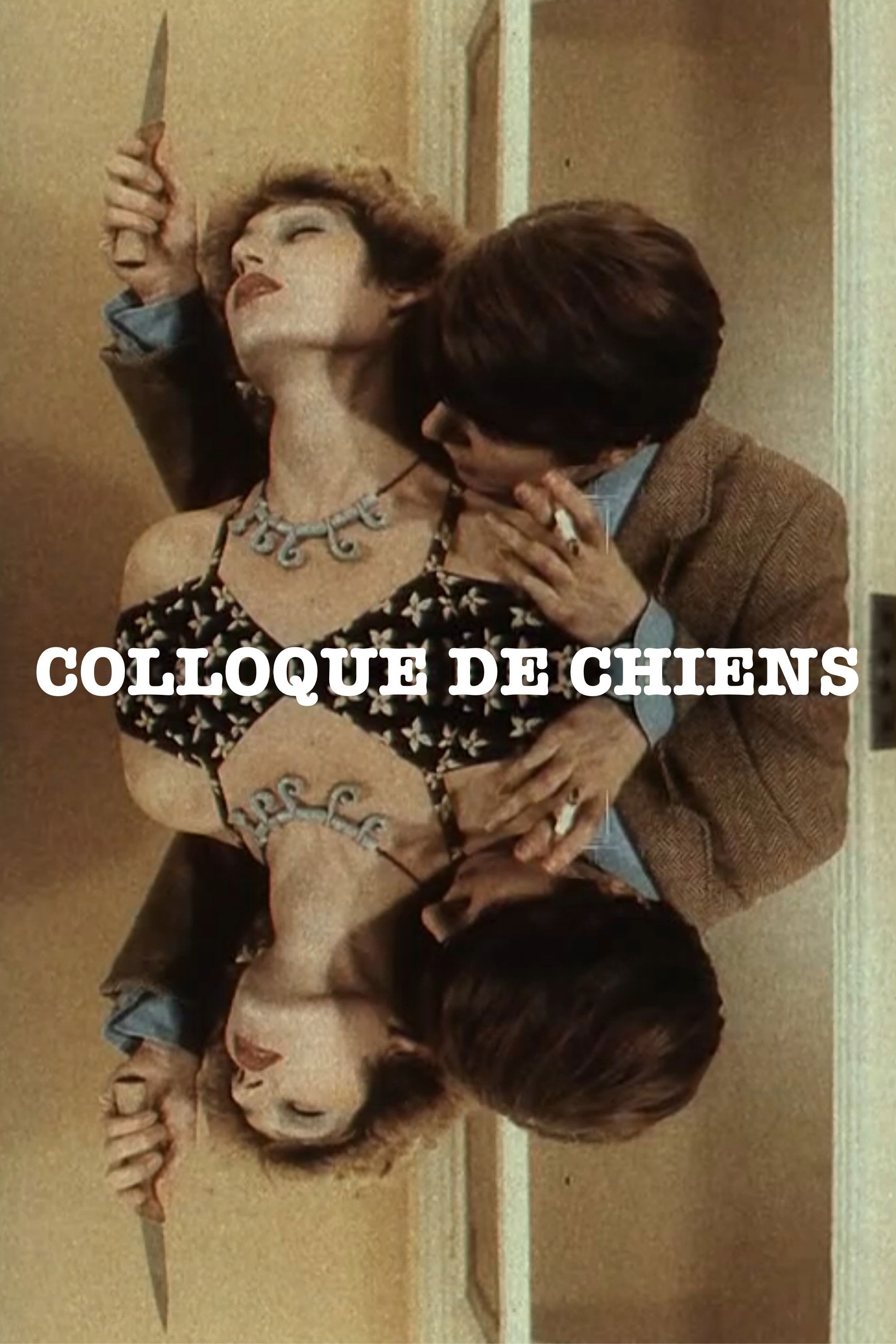 Colloque de chiens