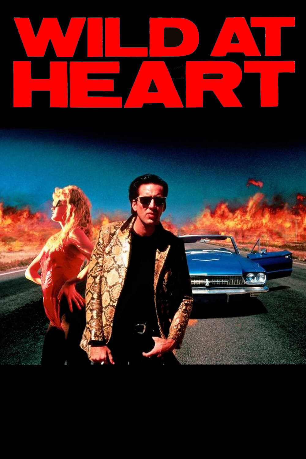 Wild at Heart