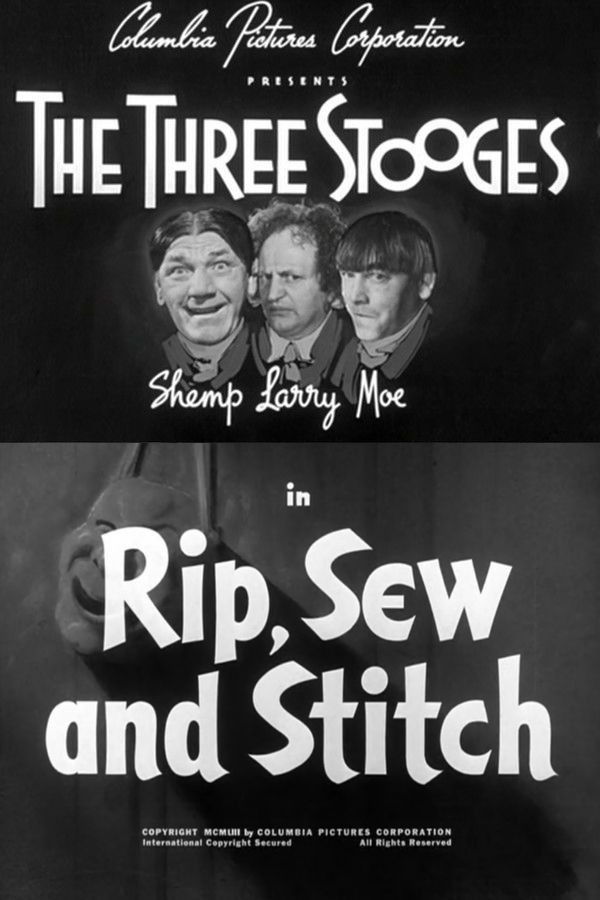 Rip, Sew and Stitch image