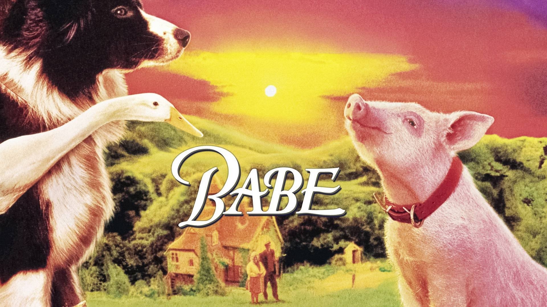 Babe - Maialino coraggioso (1995)