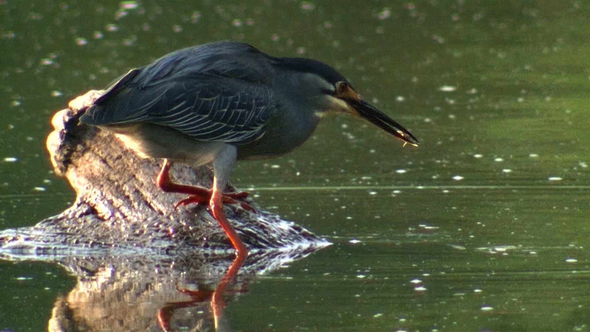 Earth Odyssey with Dylan Dreyer S06E05 backdrop