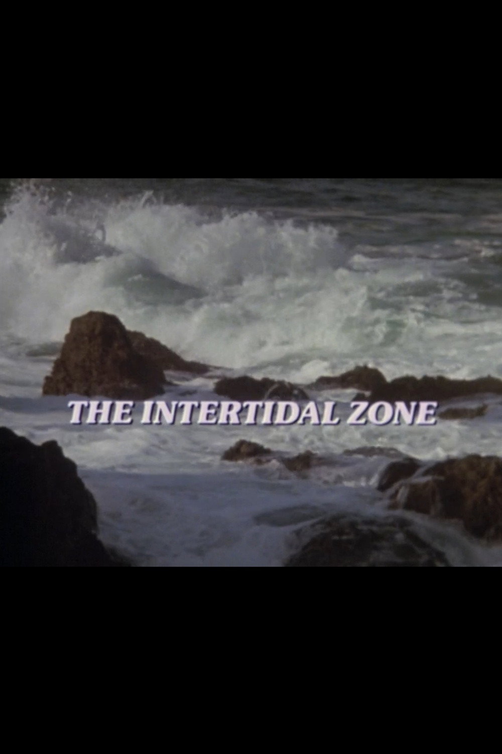 The Intertidal Zone