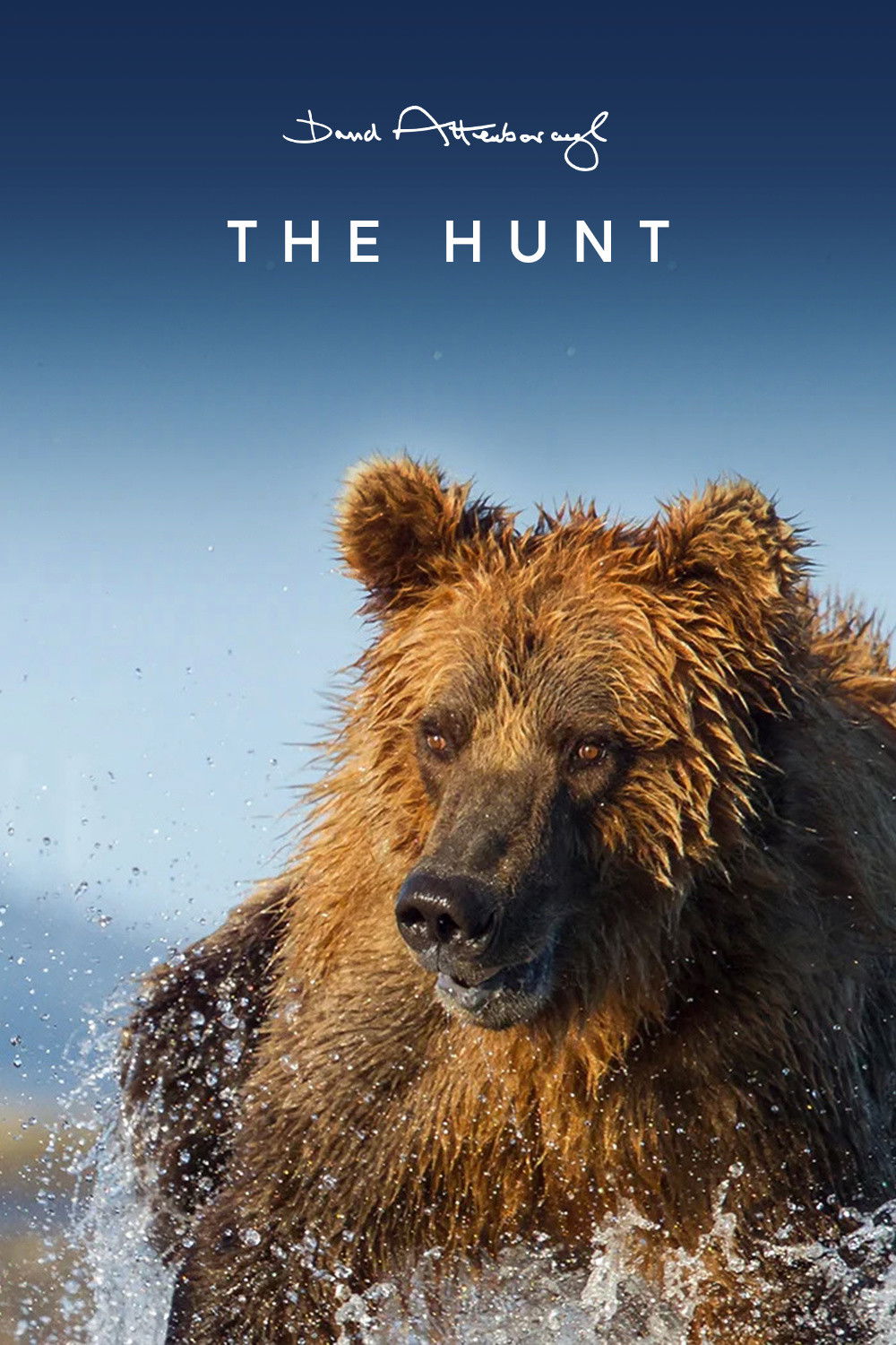 The Hunt - Season 1