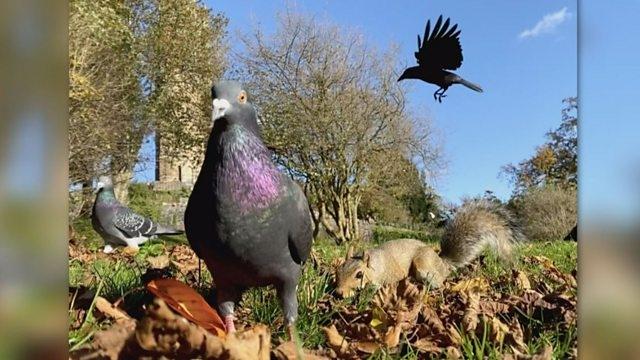 Countryfile 33x52