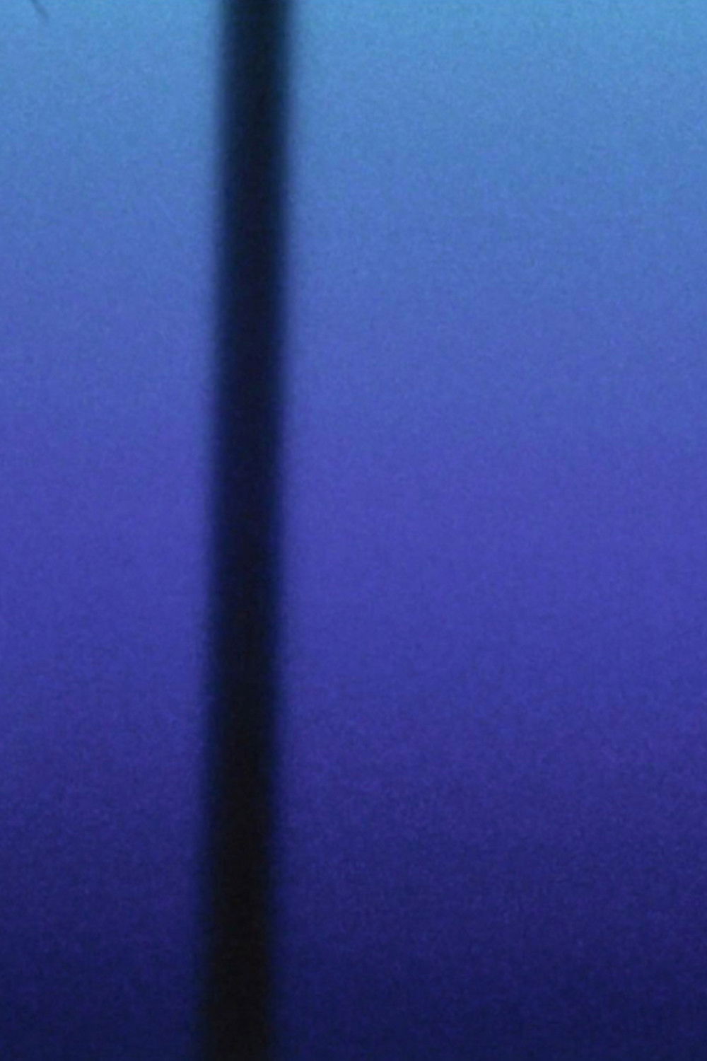 THE MEDICATION (ON BLUE)