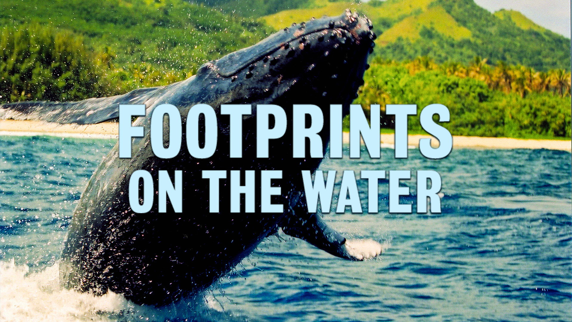 Footprints on the Water