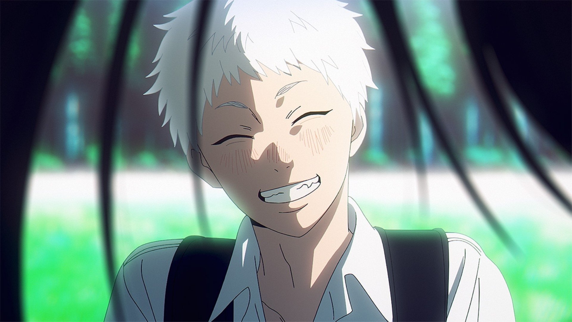 The Summer Hikaru Died 1x2