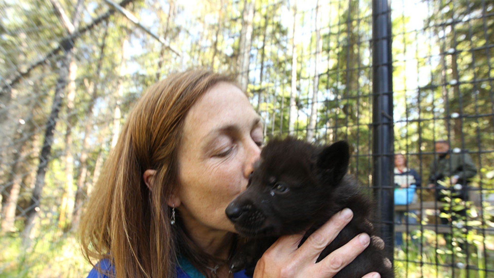 Dr. Oakley, Yukon Vet - Season 2 Episode 5 : Here Comes Cari-Boo-Boo. 