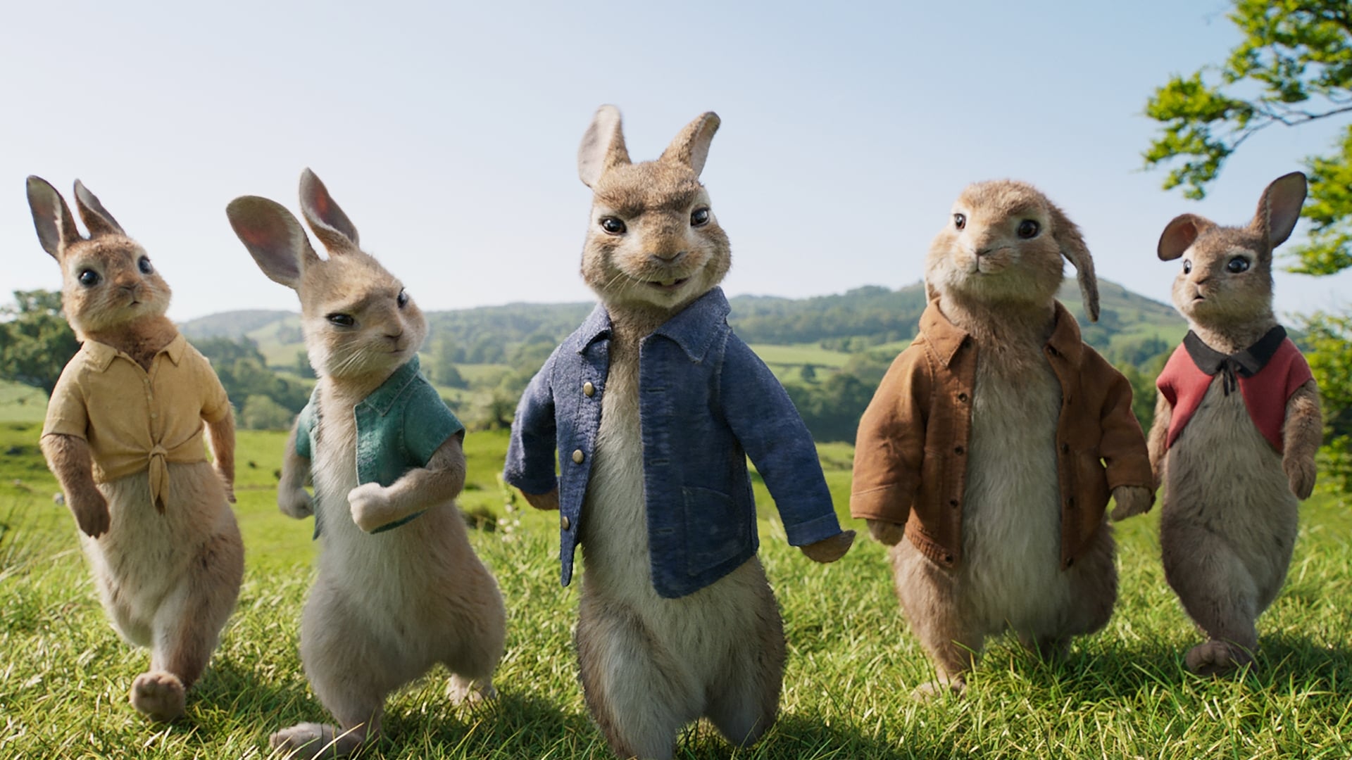 Image du film Pierre Lapin hpewbkx7qthlnirnksj4x8qpbqhjpg