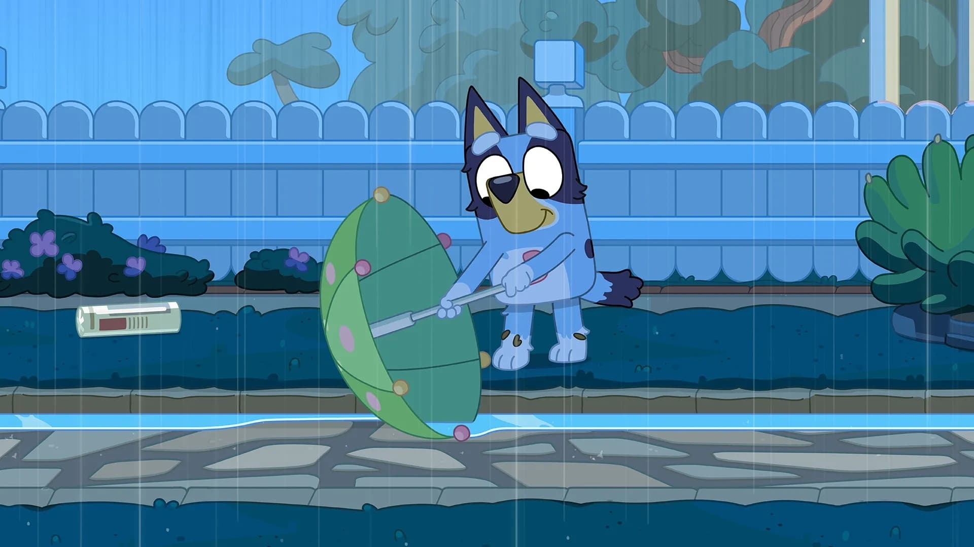 Bluey Season 3 :Episode 18  Rain