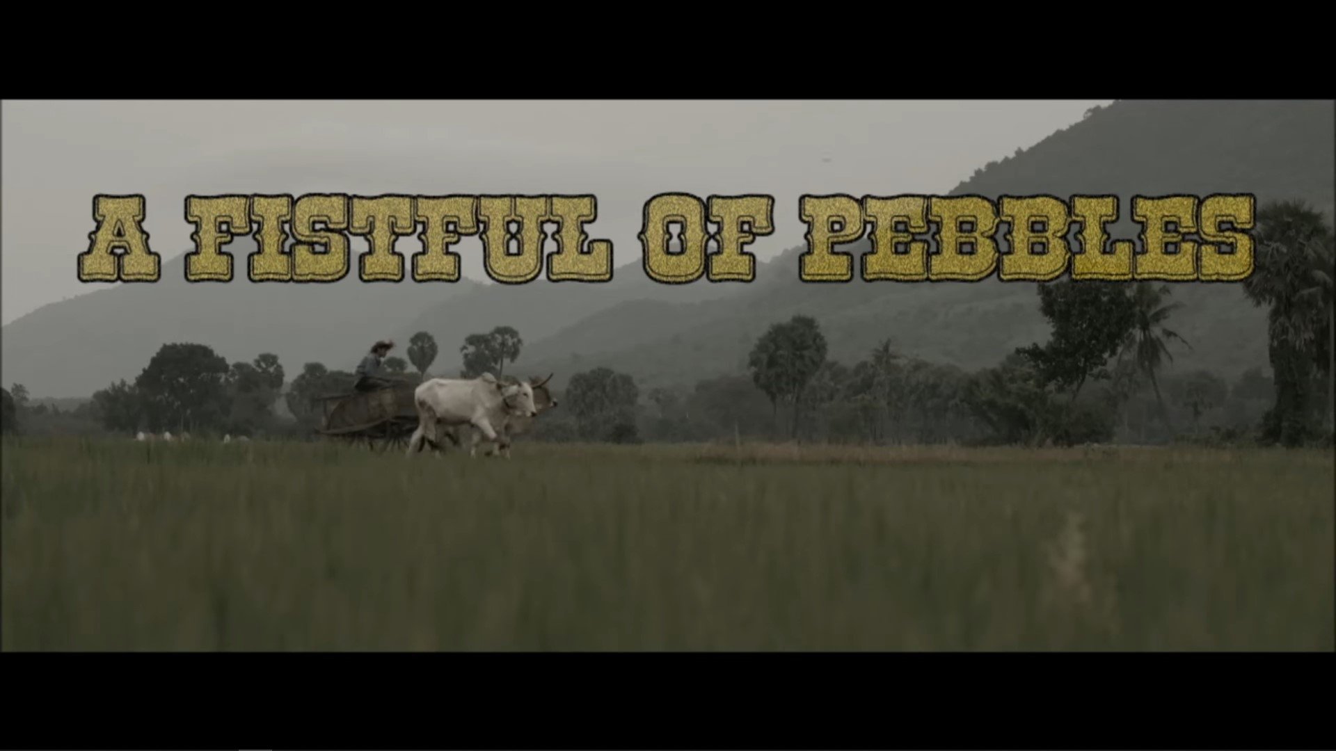 A Fistful Of Pebbles (2015)