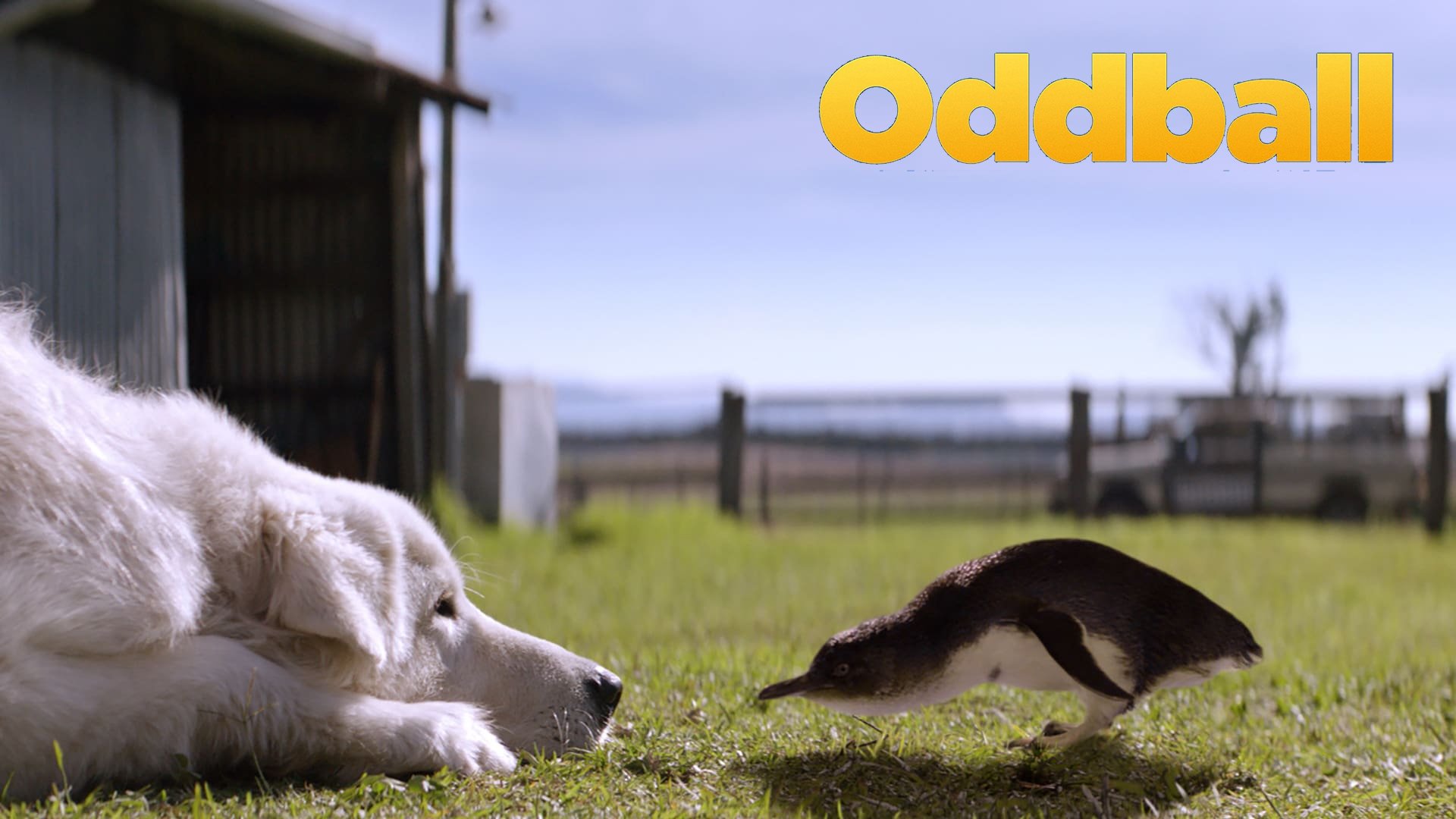 Oddball (2015)