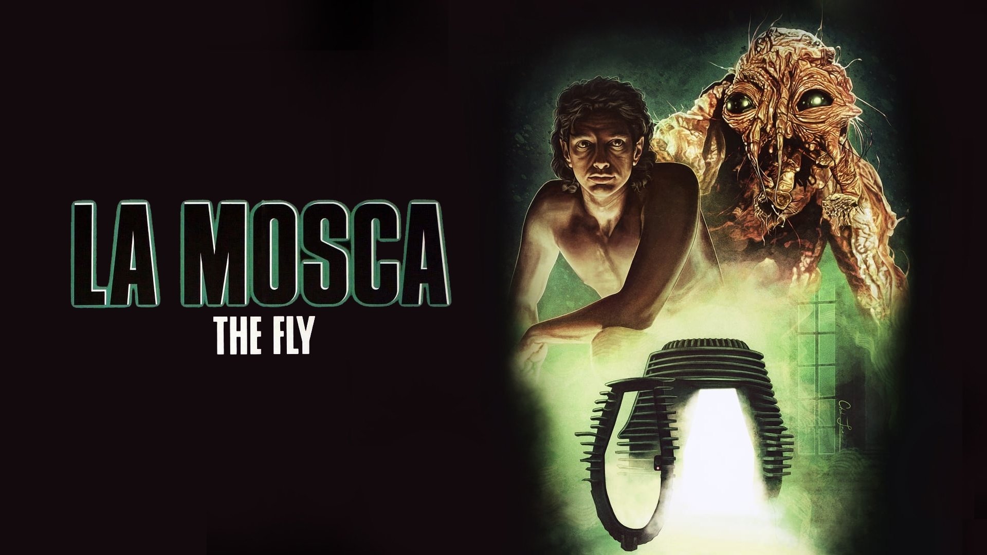 The Fly