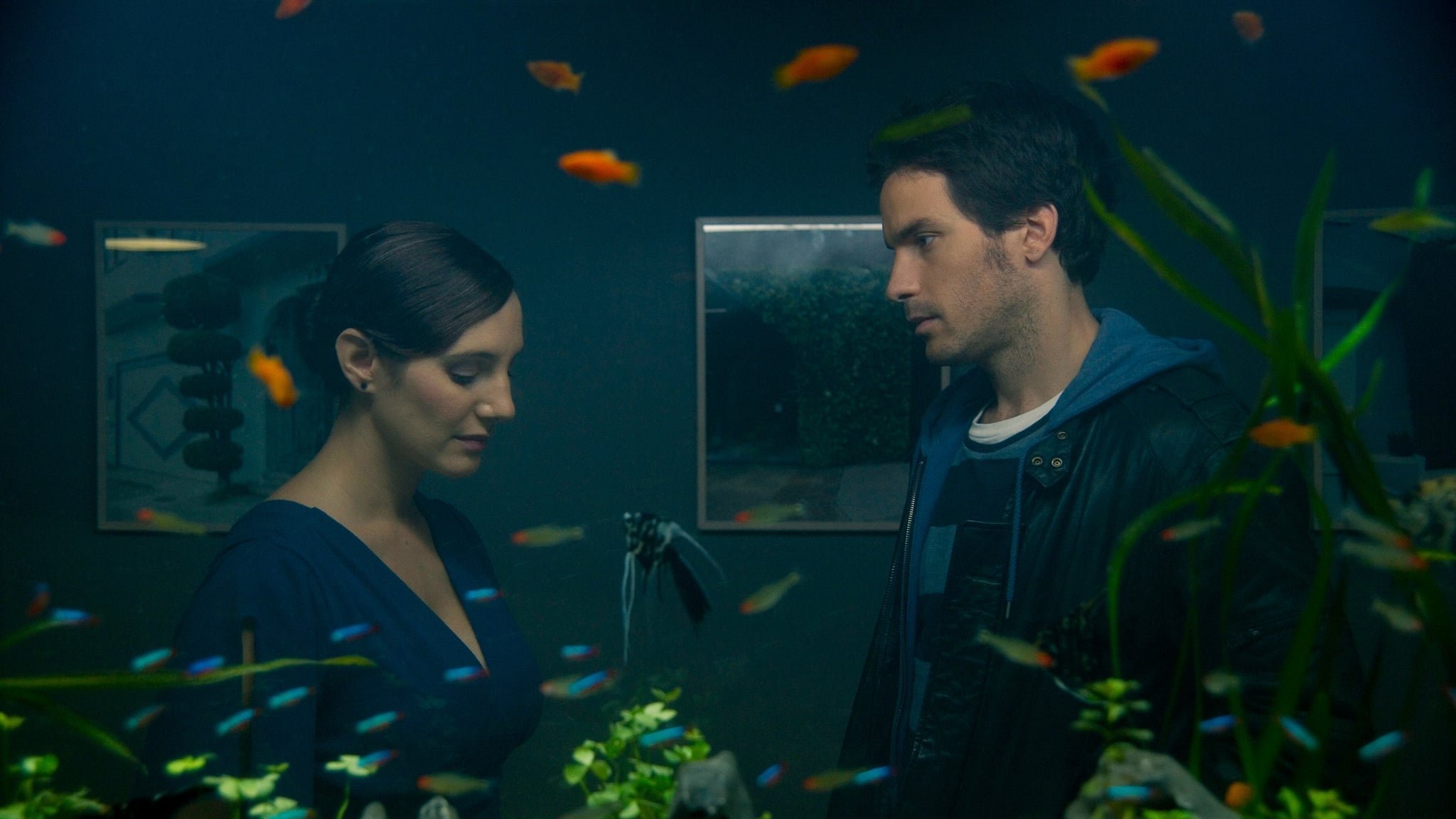 La vida de los peces (2010)