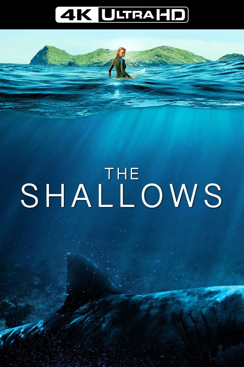 The Shallows