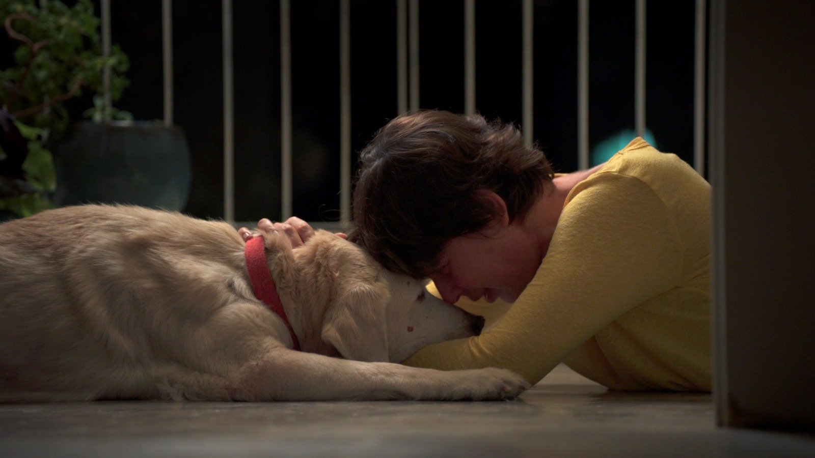 Clinging (2023)