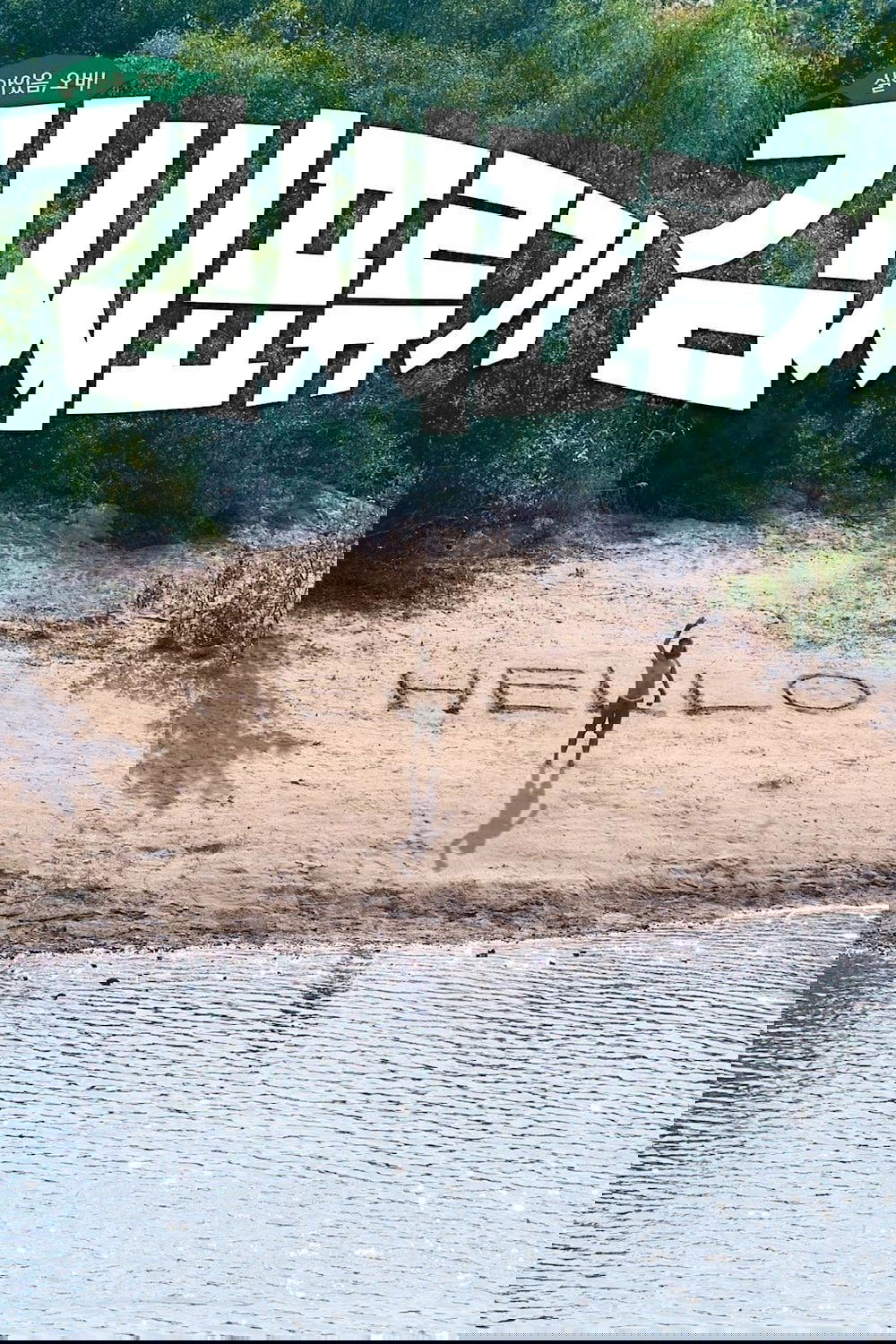 Des nouilles aux haricots noirs