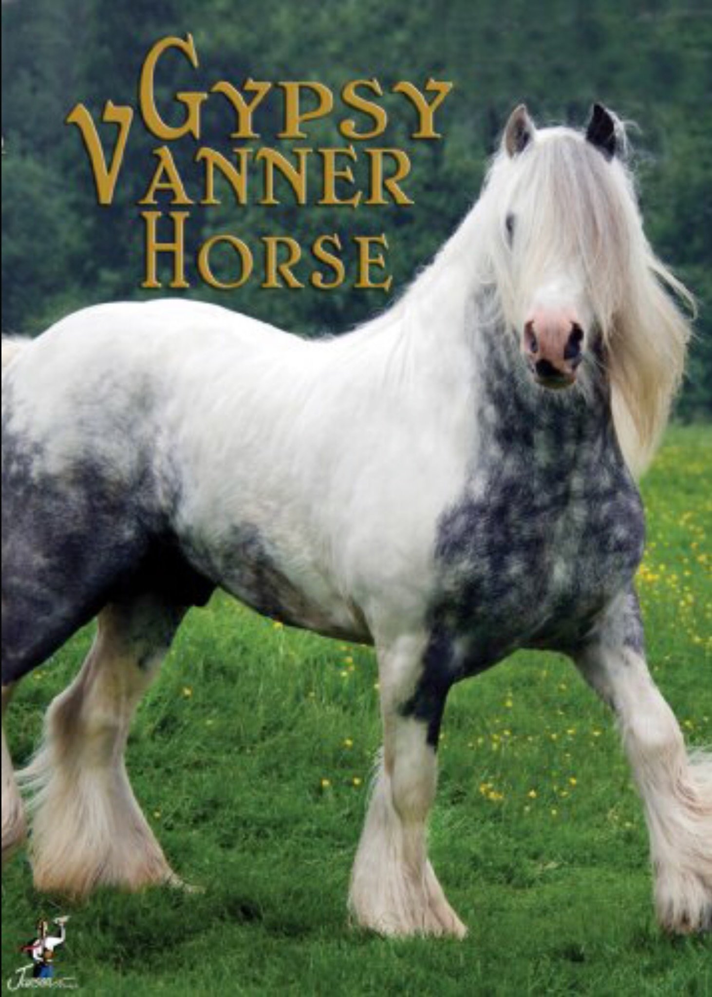 Content cover