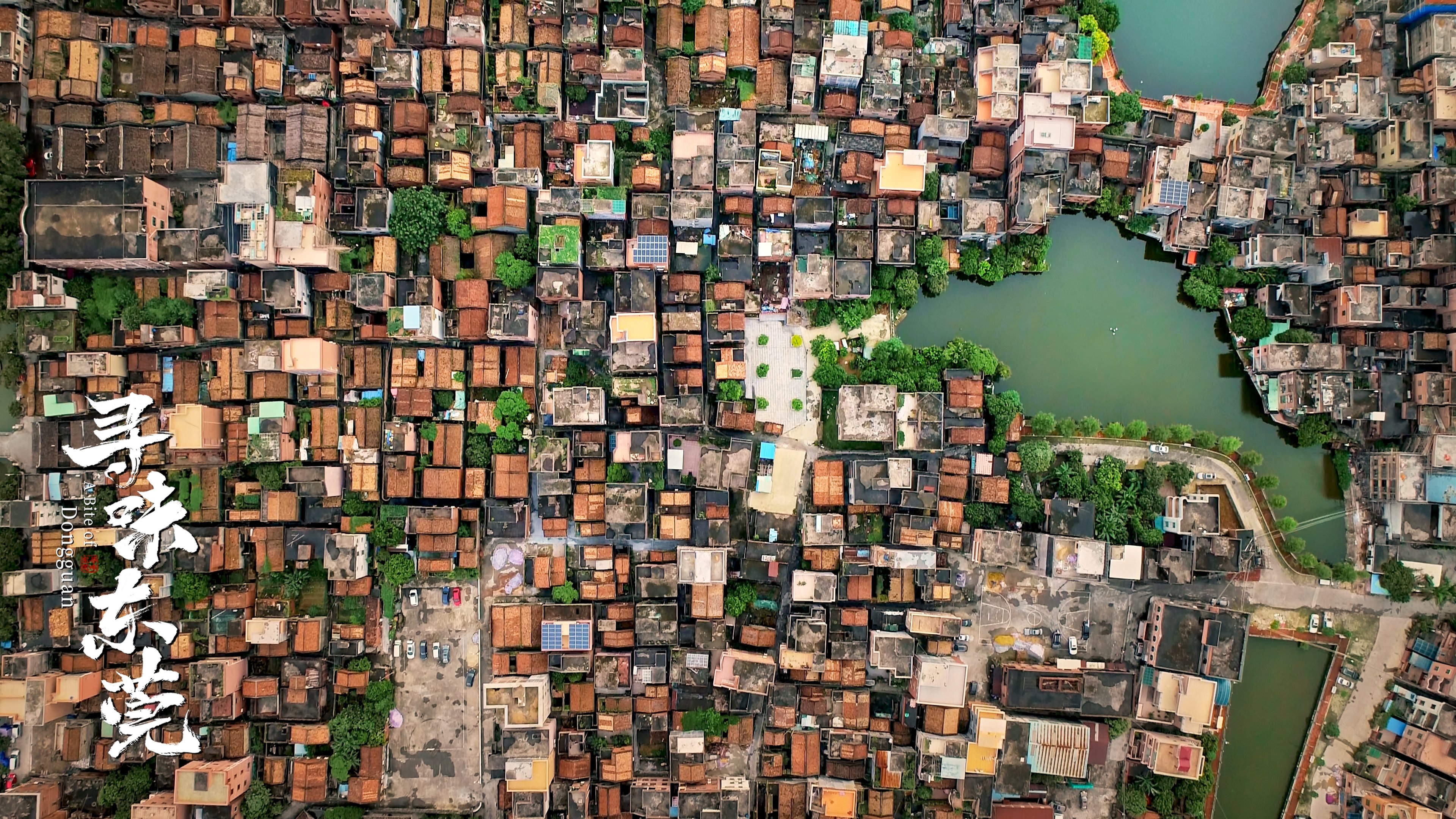 A Bite of Dongguan