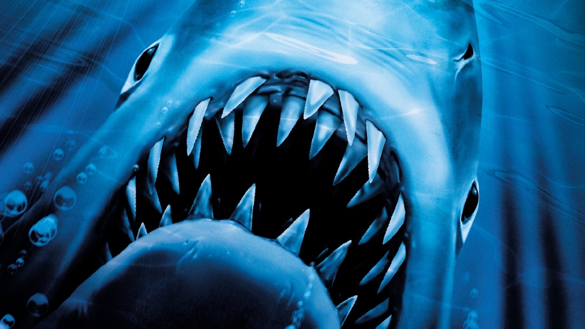 Les Dents De La Mer Gratuit Les Dents de la mer 2 en streaming ou téléchargement