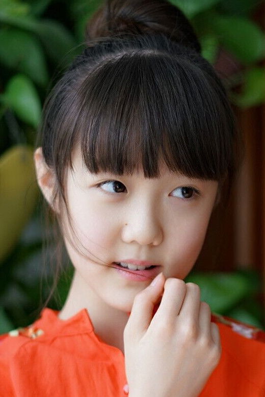 et billede af Li Shang'en