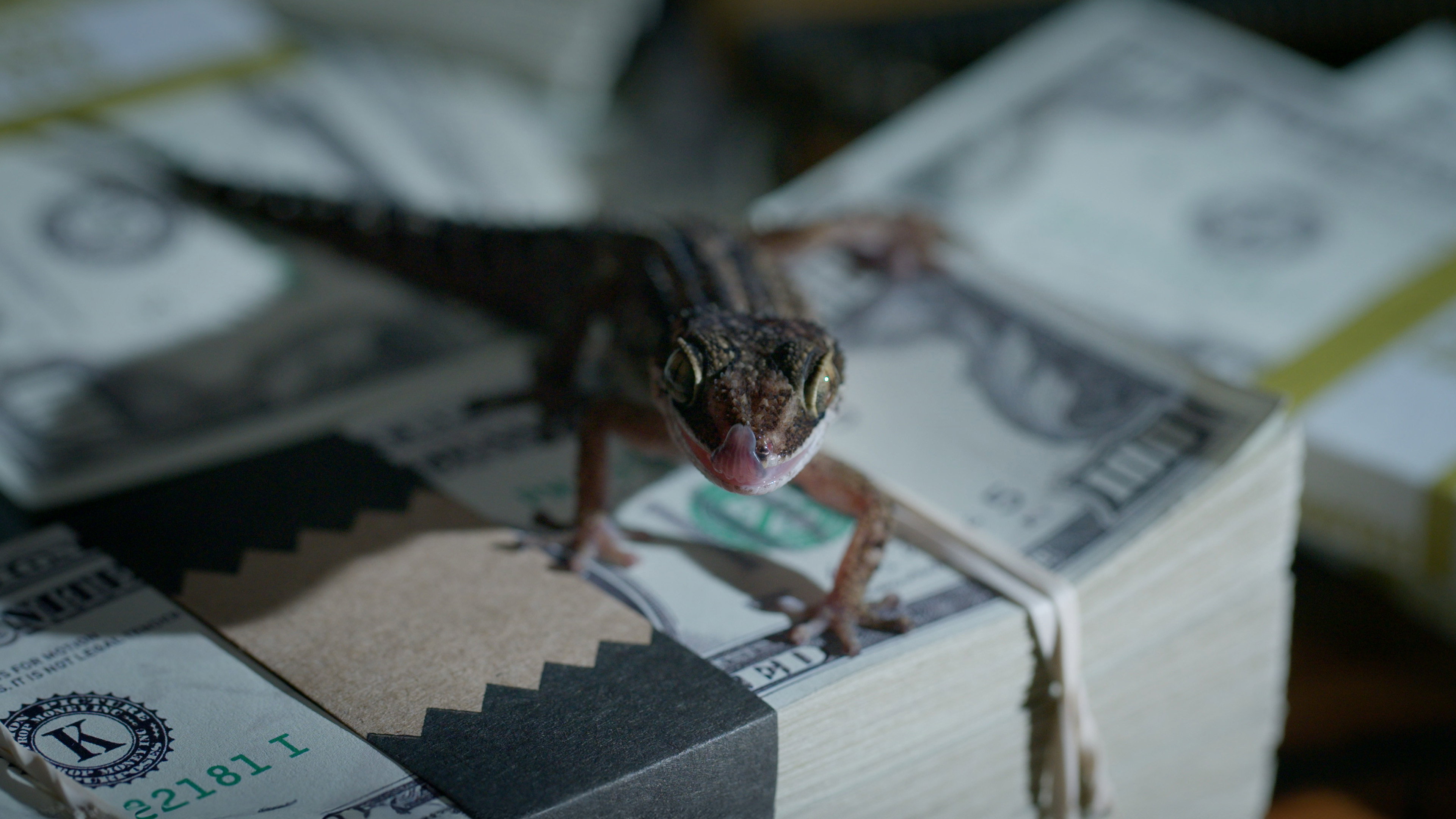 Imagem de fundo de Monsters of God