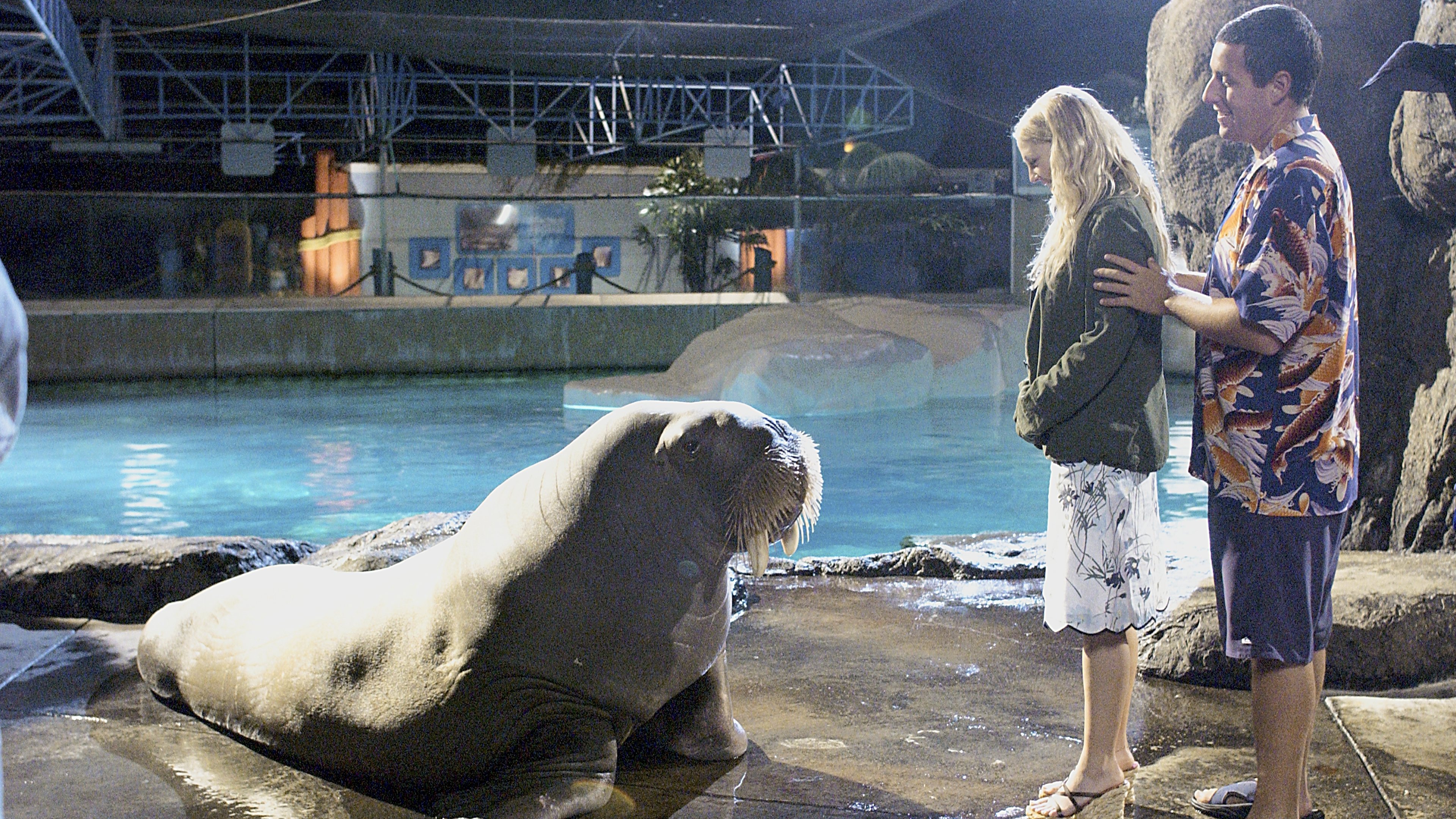 50 First Dates (2004)