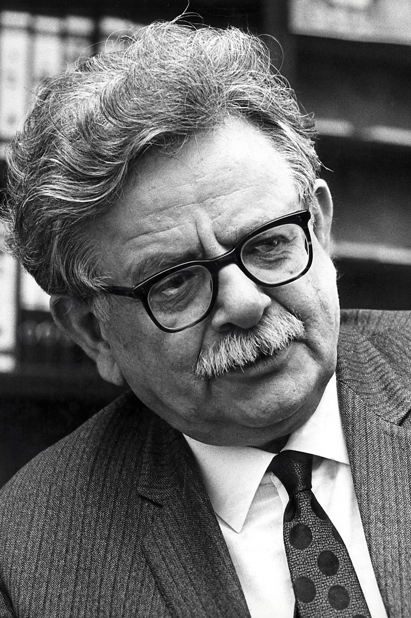 Elias Canetti thumbnail