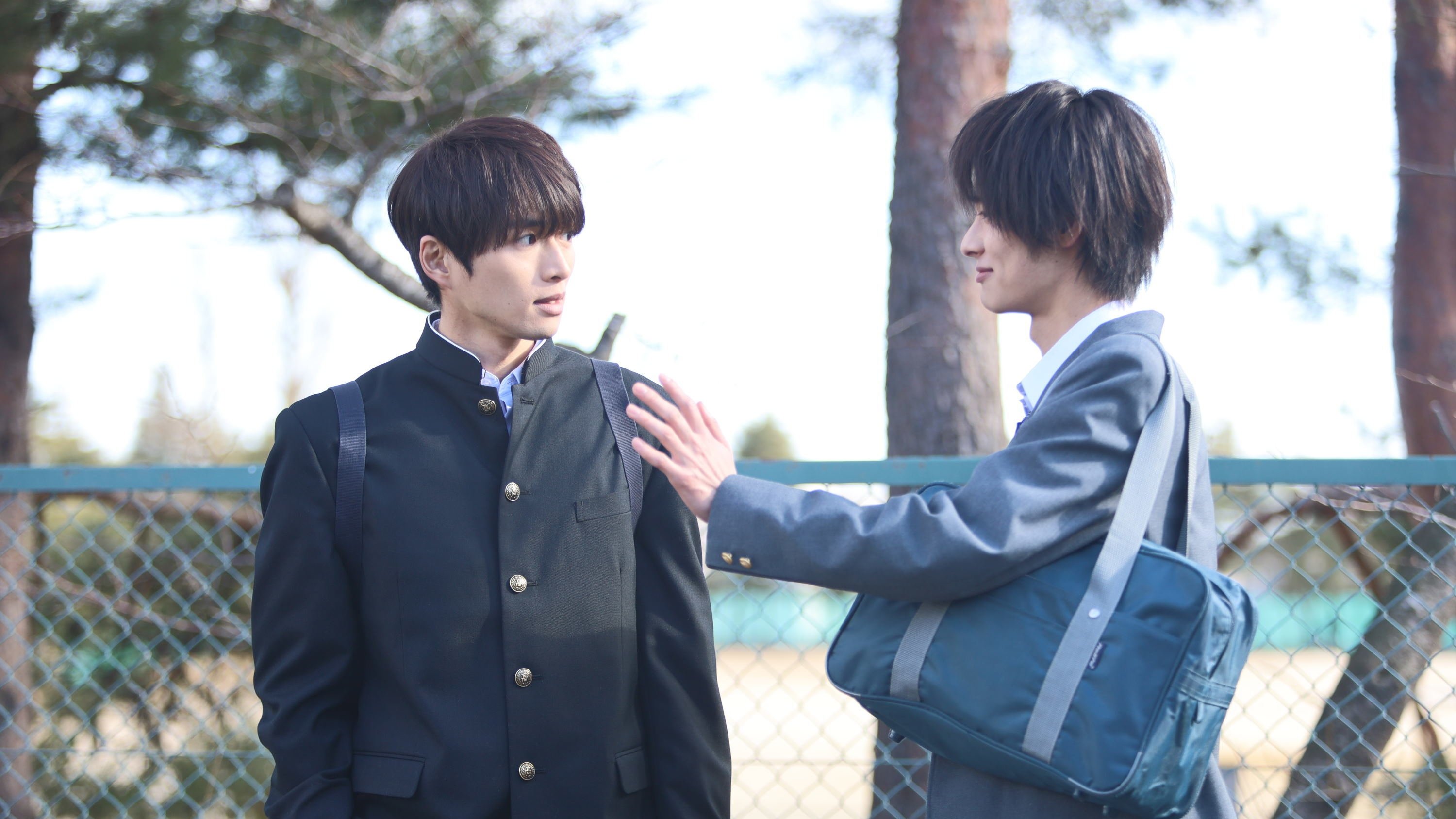 Life: Love on the Line (Director's Cut)