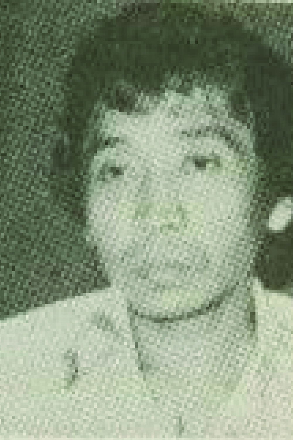 et billede af Idris Sardi