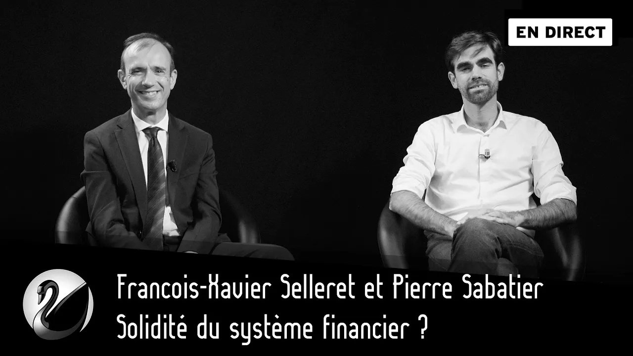 Thinkerview - Solidité du système financier ? Francois-Xavier Selleret et Pierre Sabatier