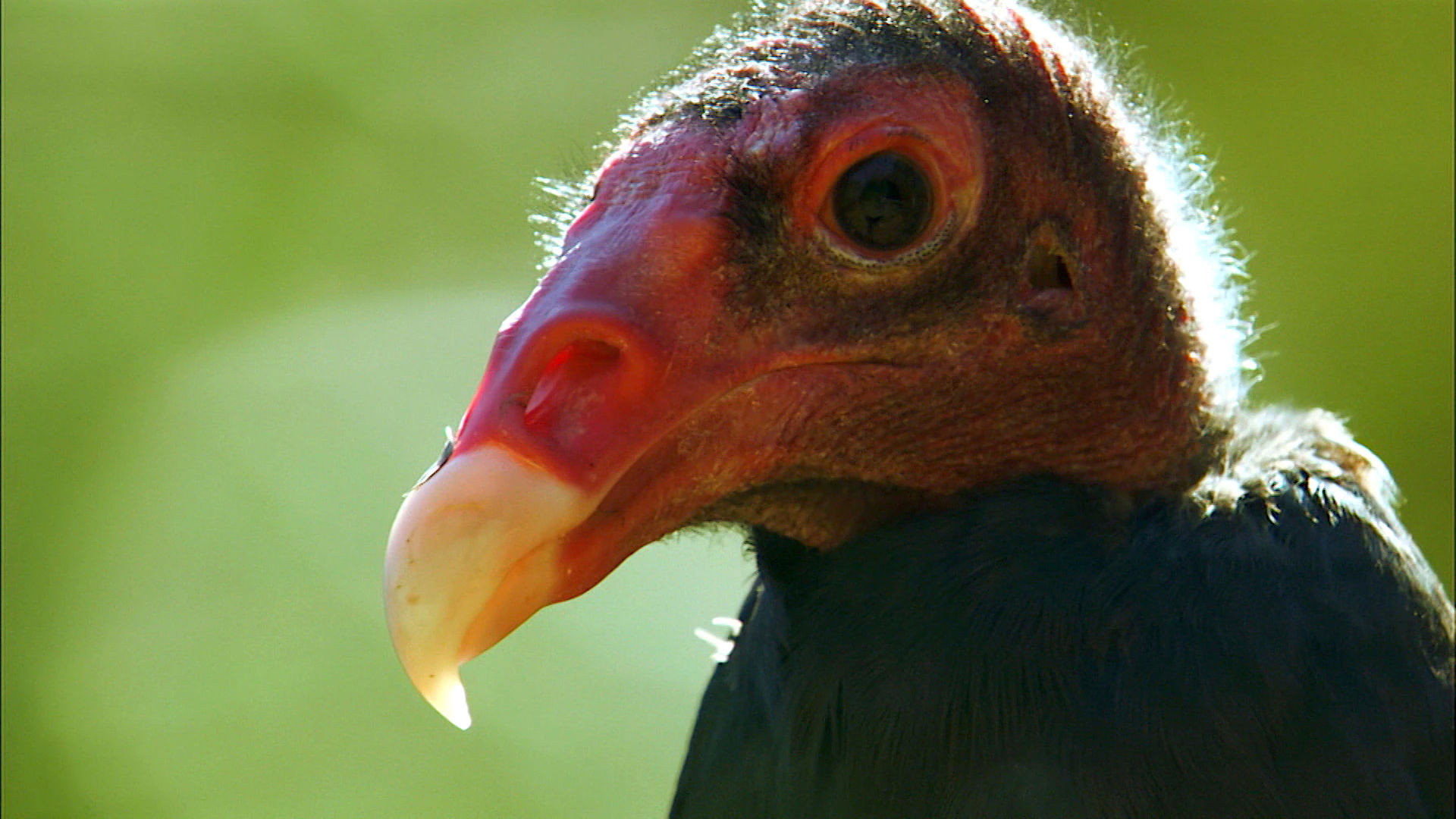 Earth Odyssey with Dylan Dreyer S02E29 backdrop