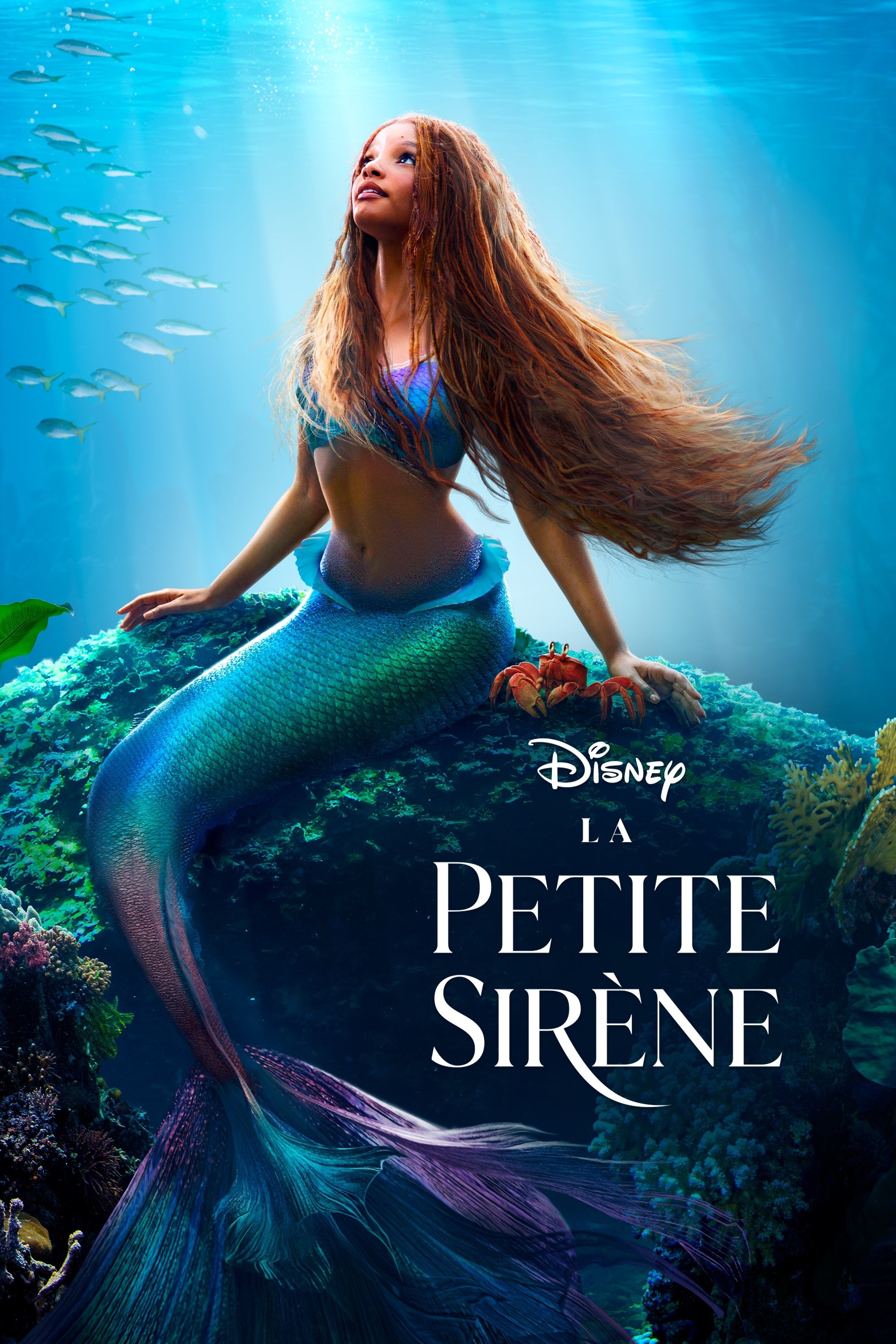 Poster de La Petite Sirène