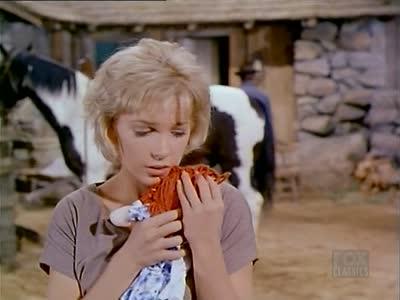 Bonanza