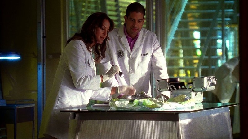 CSI: Miami Staffel 7 :Folge 5 