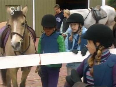 The Saddle Club